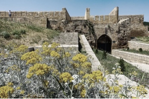 Дербент, крепость Нарын-Кала, экраноплан Лунь и купание в море