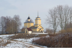 Индивидуальная экскурсия в Пушкинские Горы(транспорт не входит в стоимость)