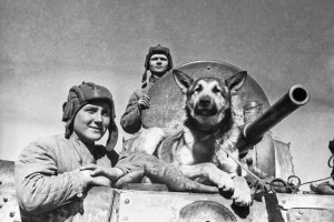 Военная экскурсия Эхо минувшей войны