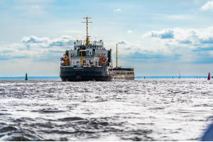 А поехали к морю? В Кронштадт, зелёный город на семи ветрах!