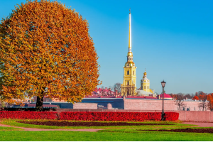 Петроградка: уютная и живая