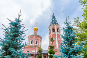 Храмы и церкви Саратова
