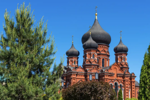 Тульский Невский проспект: пять столетий главной улицы города