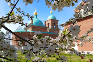 Пешая экскурсия по острову Валаам