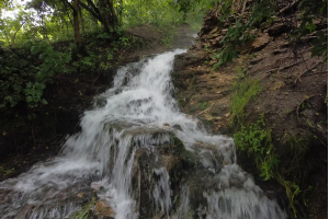 Заповедник Галичья Гора и водопад Русанов ручей