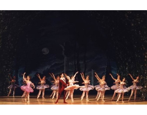 Спящая Красавица