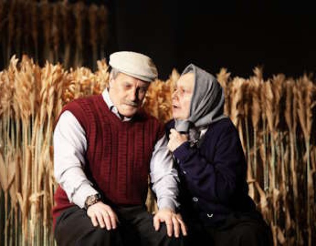 Калина Красная