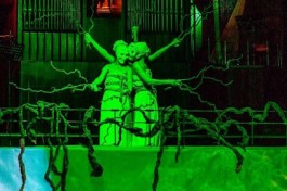 Голоса Земли и Воды. Органный Перфоманс