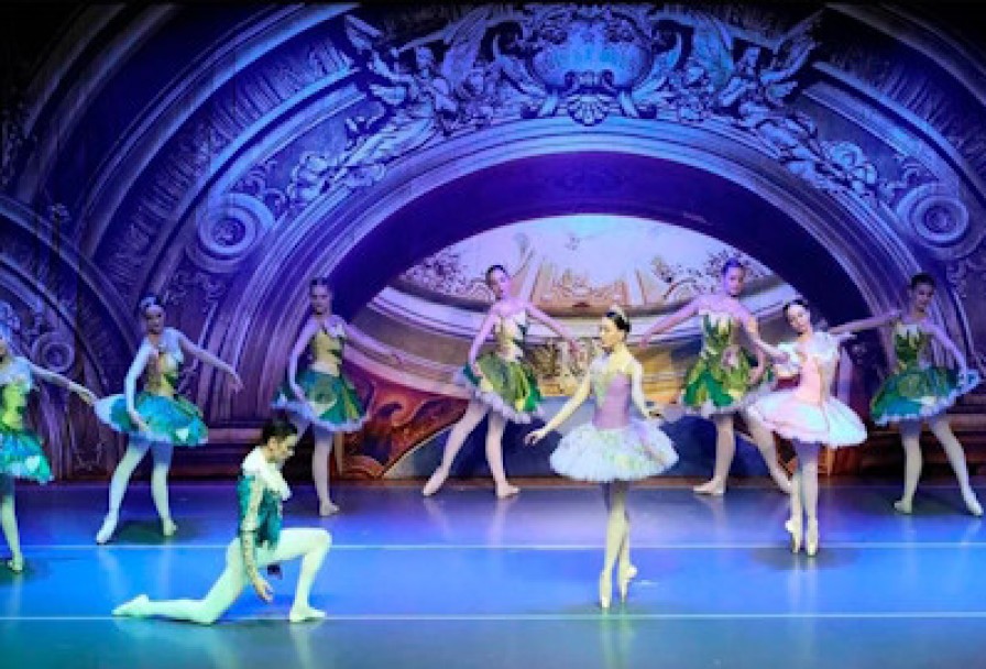 Спящая Красавица