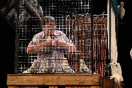 Любовь и Голубимәхәббәт Күгәрченнәре