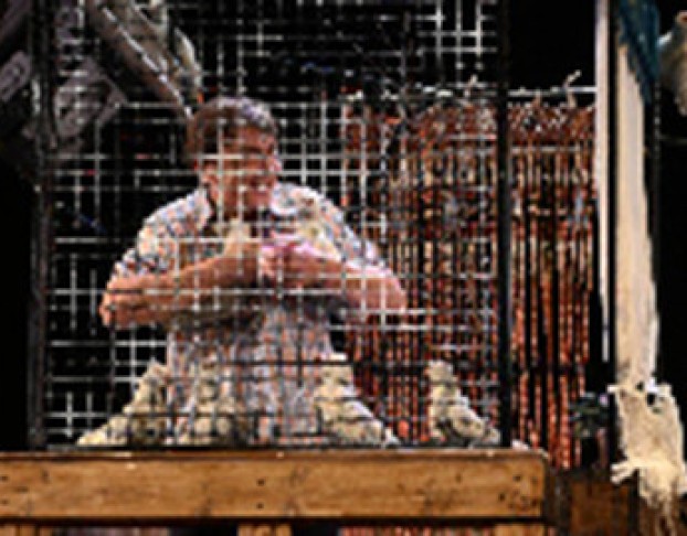 Любовь и Голубимәхәббәт Күгәрченнәре