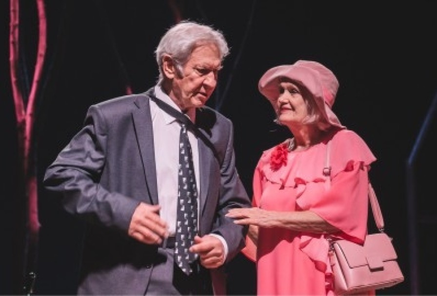 Земля Эльзы