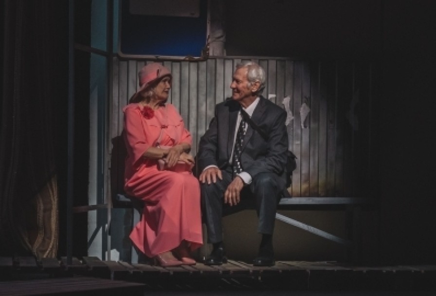 Земля Эльзы