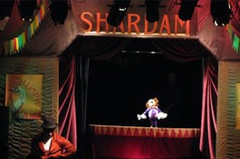 Цирк Шардам