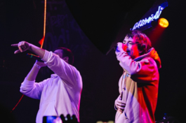 Полумягкие