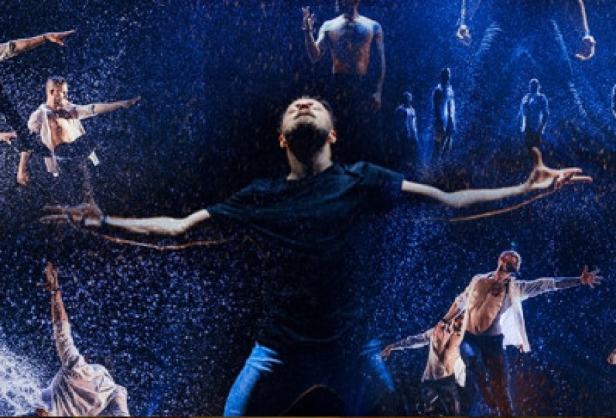 Шоу под Дождём V. Признание в Любви