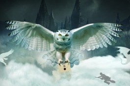 Гарри Поттер. Оркестр Sonorus