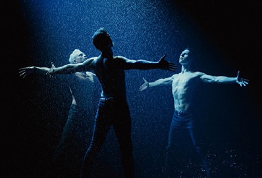 Шоу под Дождём V. Признание в Любви