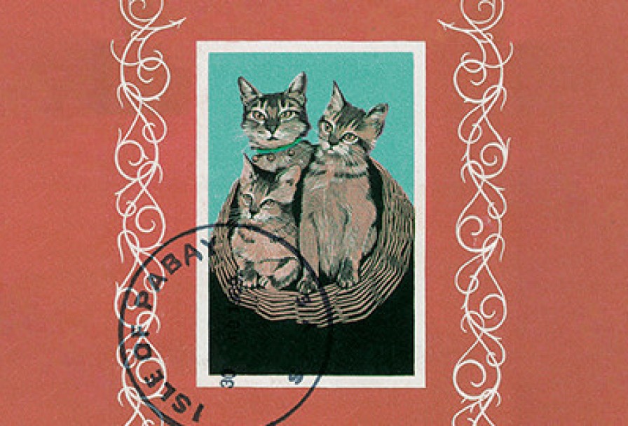 Группа Порез на Собаке