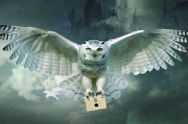 Гарри Поттер. Оркестр Sonorus