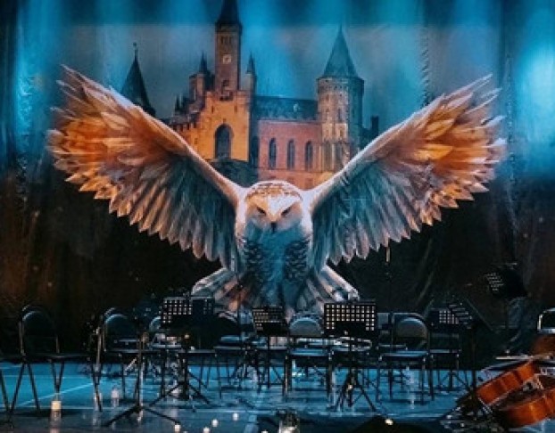 Harry Potter. Magic Music