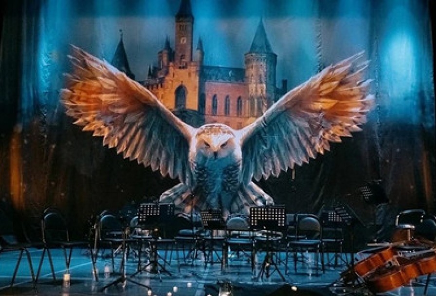 Harry Potter. Magic Music