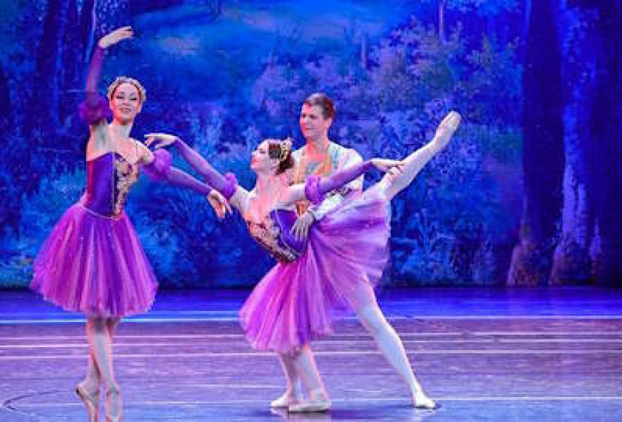 Лебединое Озеро