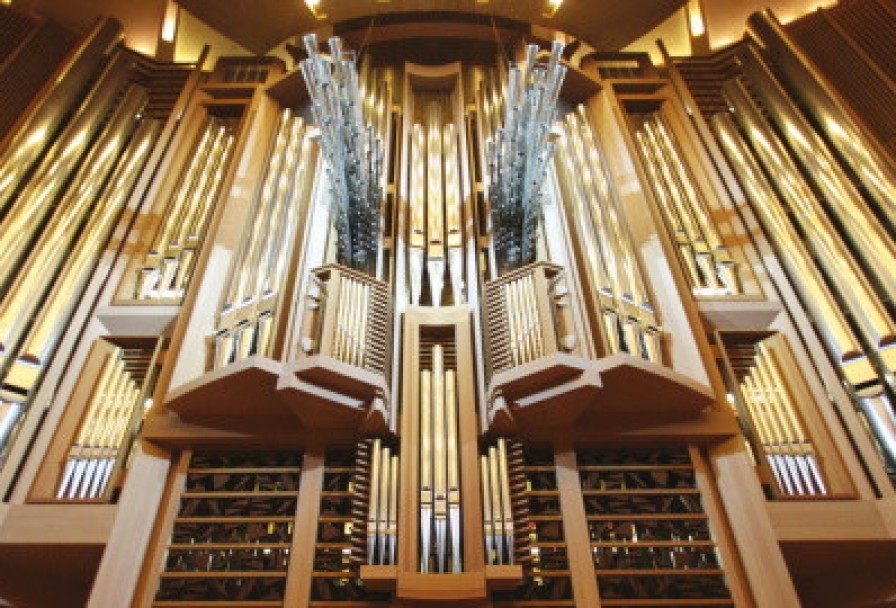 Волшебный Мир Уолта Диснея с Органом