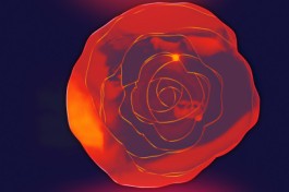 Маленький Принц. Lumisfera