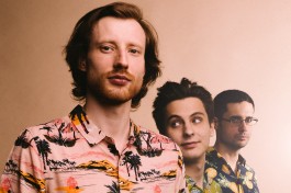 Dusty Beats B-Side Illo.trio