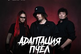 Адаптация Пчёл