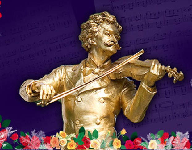 New Year Иоганн Штраус Гала