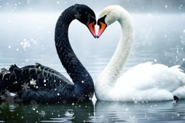 П. и. Чайковский. №1