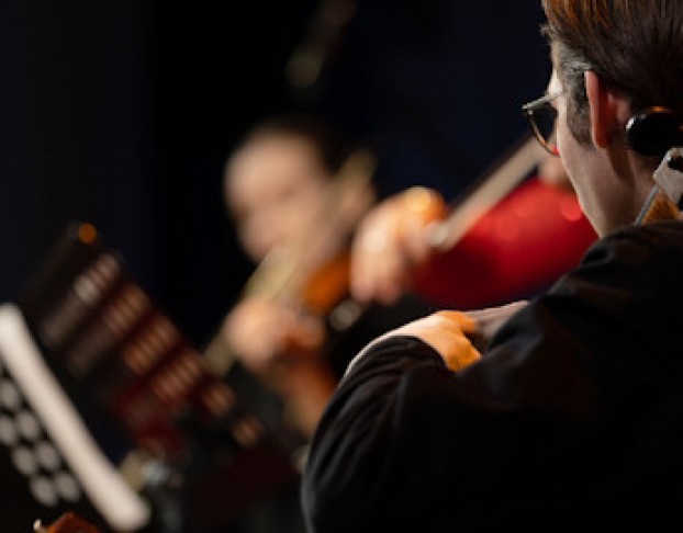 Лунная Соната. при Свечах