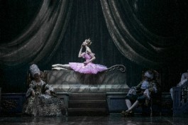 Спящая Красавица