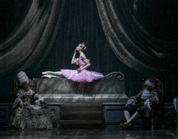 Спящая Красавица