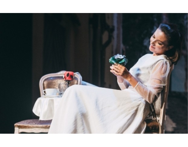 Идеальный Свидетель