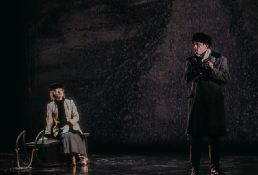 Жены Артистов. Цикл Метаморфозы