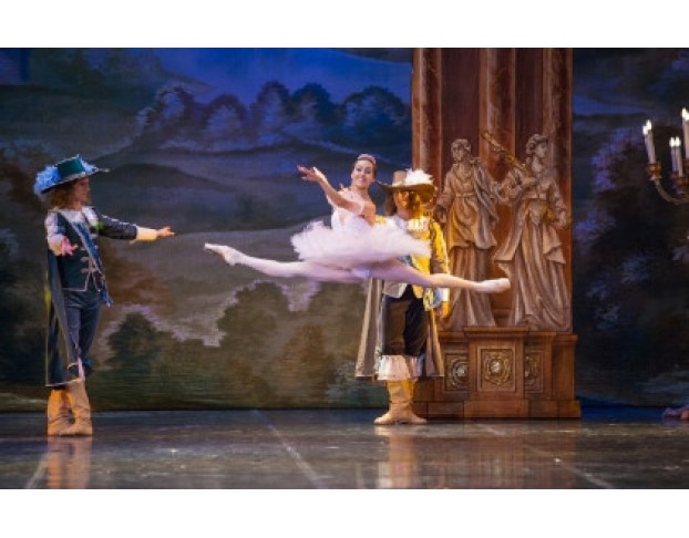 Детский Спящая Красавица