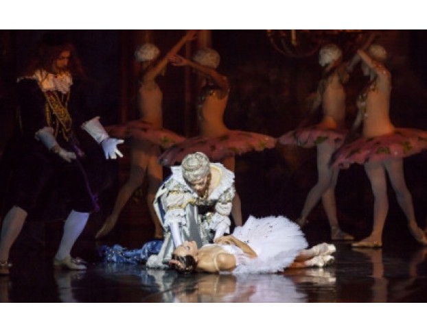 Детский Спящая Красавица