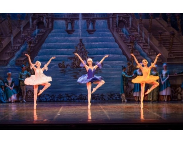 Детский Спящая Красавица