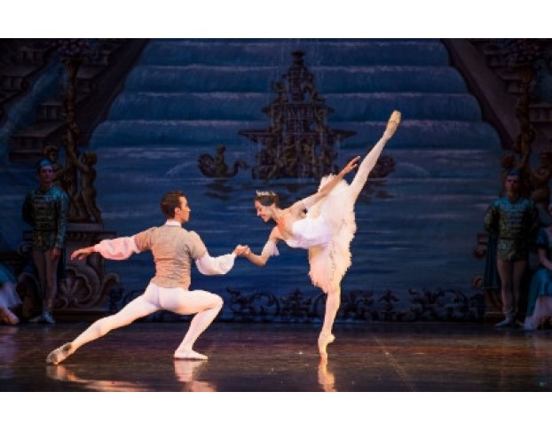 Детский Спящая Красавица