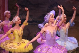 Детский Спящая Красавица