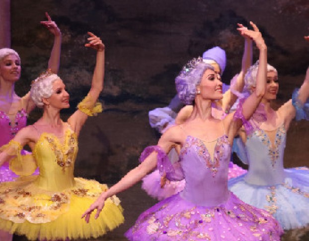 Детский Спящая Красавица