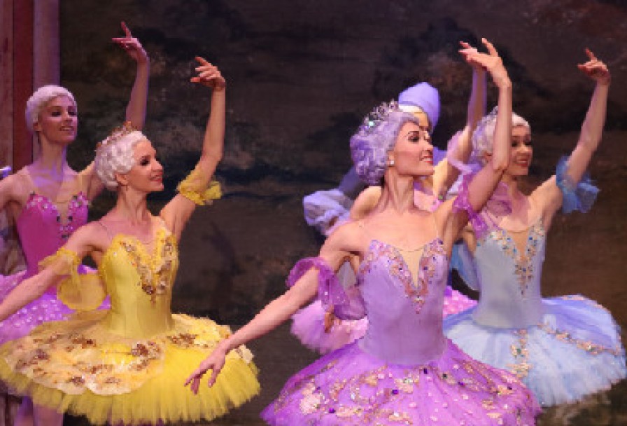 Детский Спящая Красавица