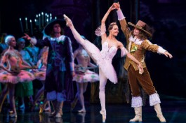 Спящая Красавица