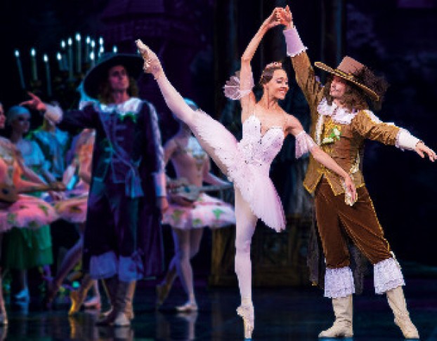 Спящая Красавица