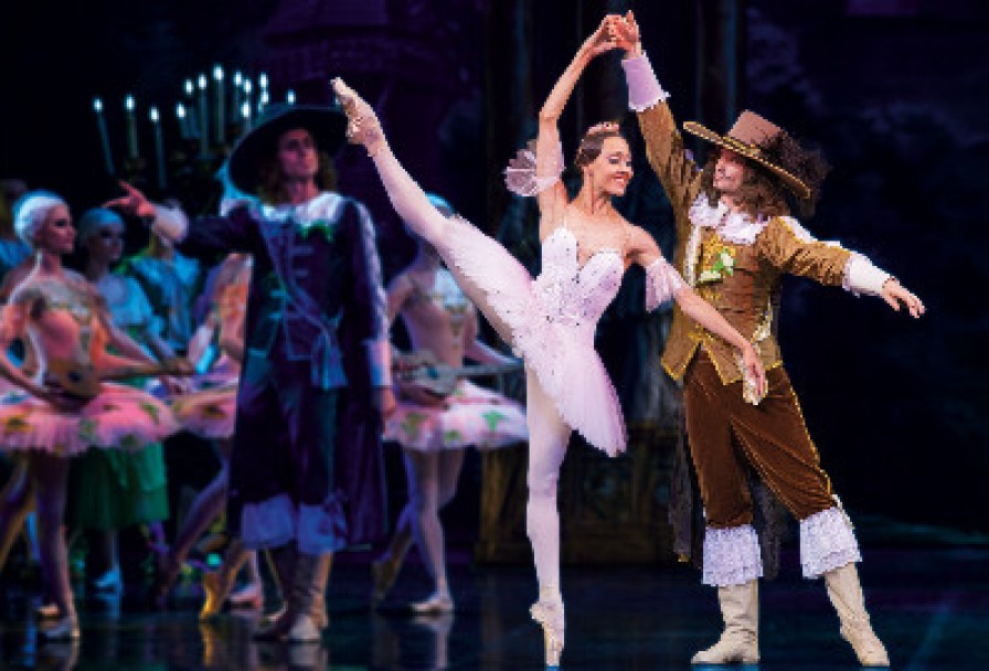 Спящая Красавица