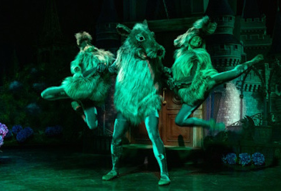 Стойкий Оловянный Солдатик