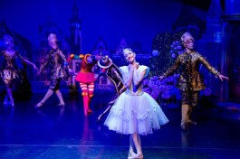 Стойкий Оловянный Солдатик